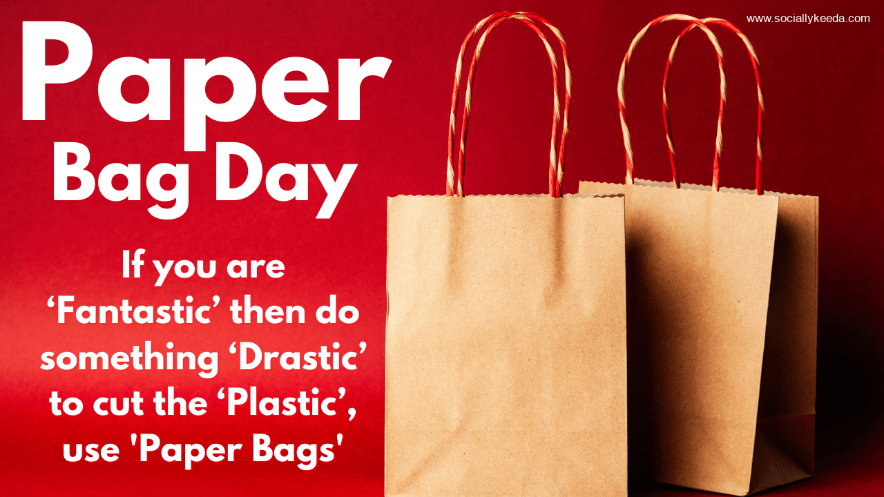 10 Lines On Paper Bag Day In English | Speech On Paper Bag Day |  #PaperBagDaySpeech - YouTube